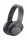 Headset